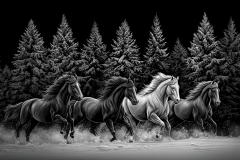 20-Majestic-Horses-26