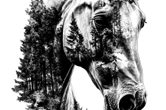 I508