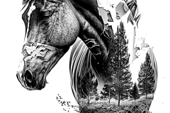 horse_body_17