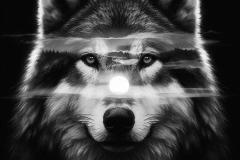Wild-Life-33