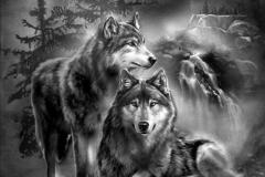 Wolf-14