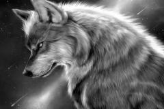 Wolf-30