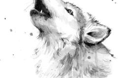 Wolf-5
